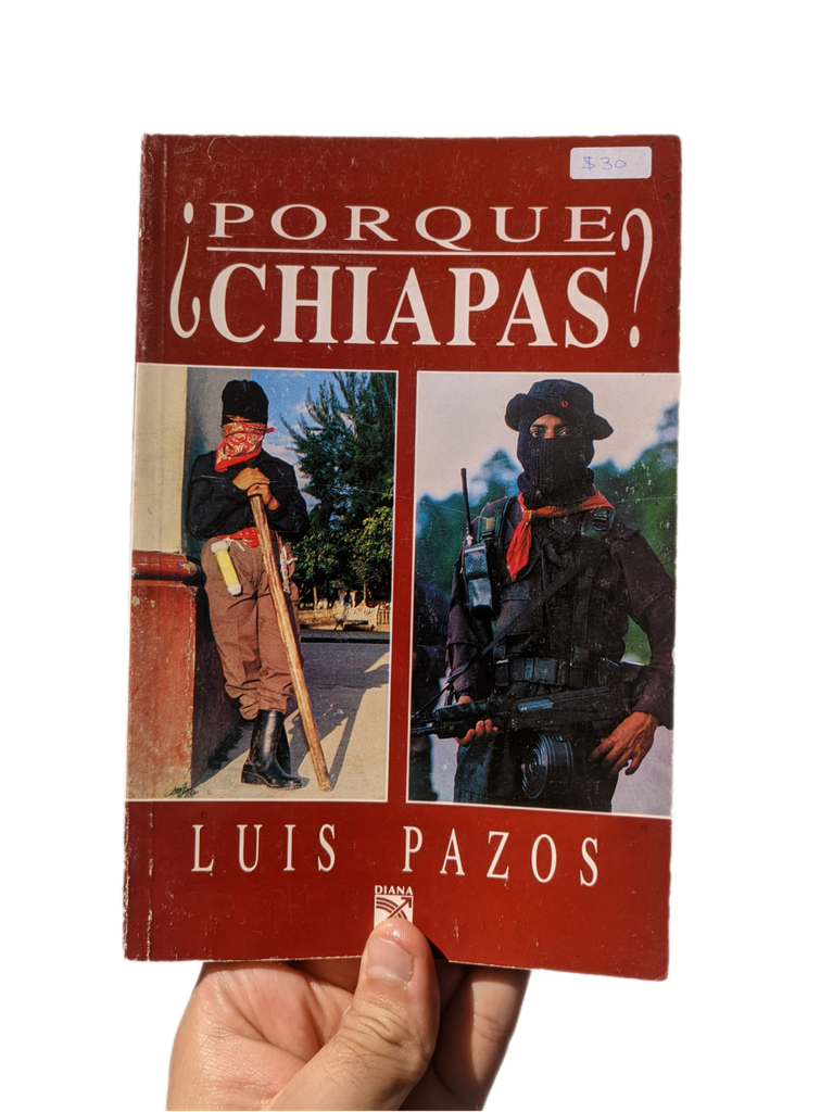 ¿Por qué Chiapas?